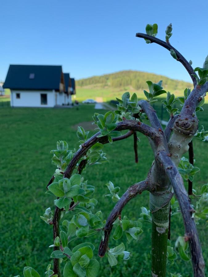 Dobre Miejsce Villa Niedzica Luaran gambar