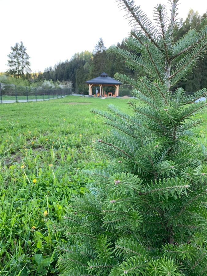 Dobre Miejsce Villa Niedzica Luaran gambar
