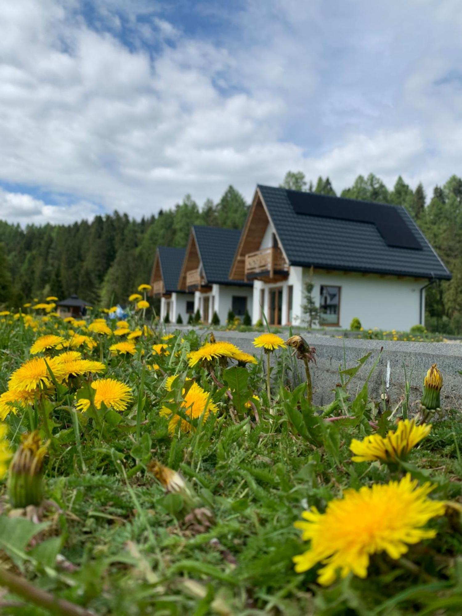 Dobre Miejsce Villa Niedzica Luaran gambar