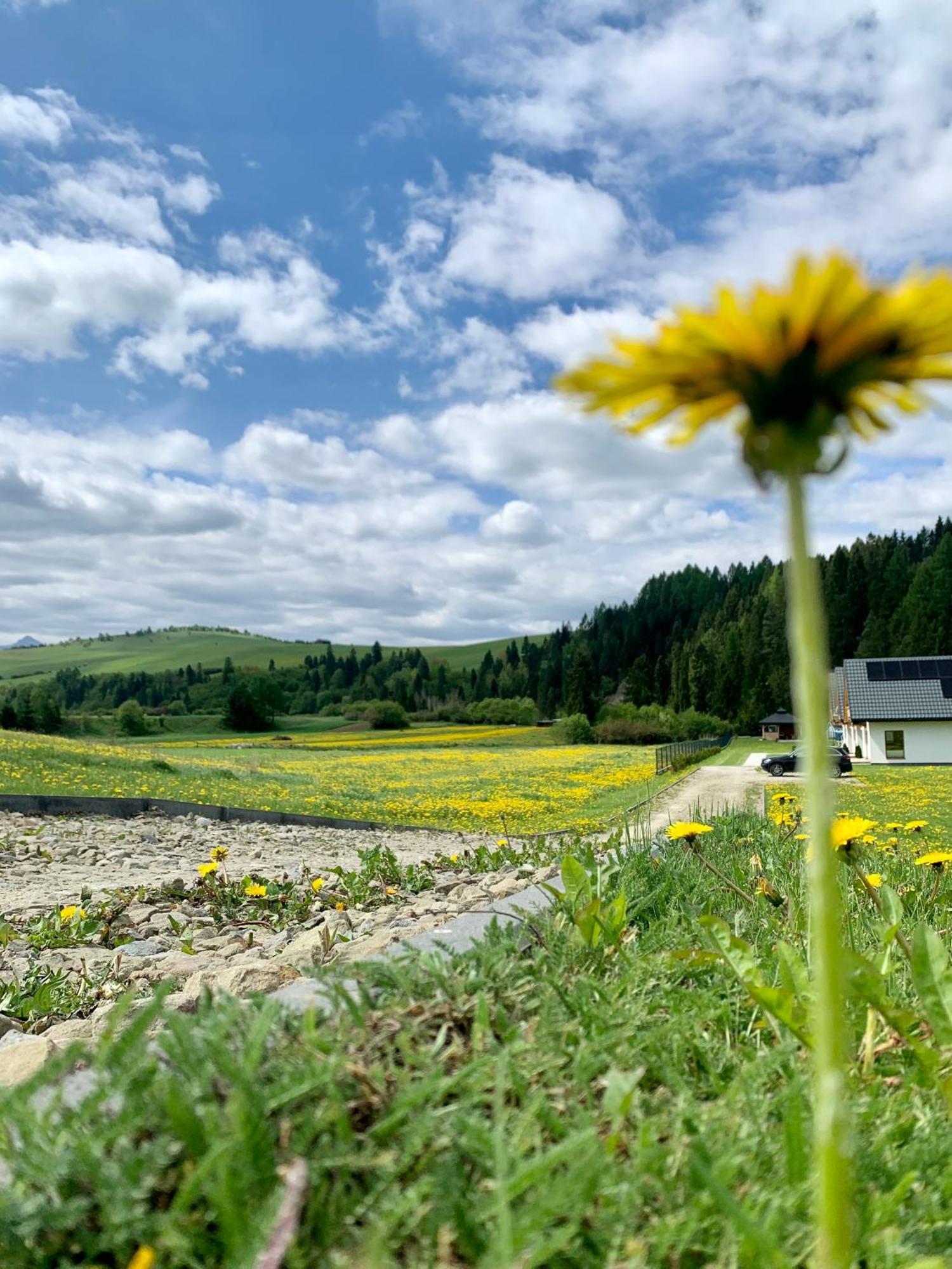 Dobre Miejsce Villa Niedzica Luaran gambar