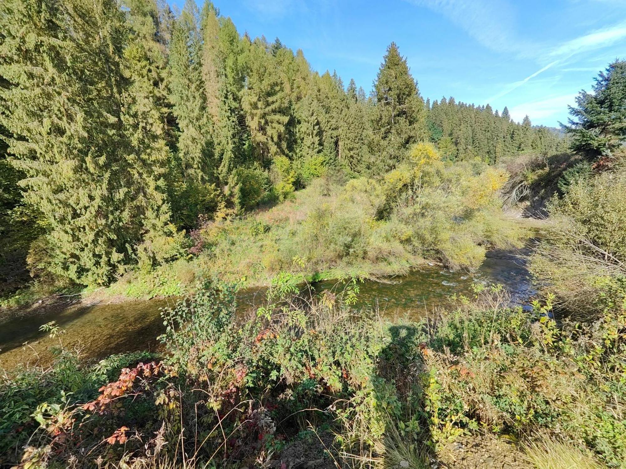 Dobre Miejsce Villa Niedzica Luaran gambar